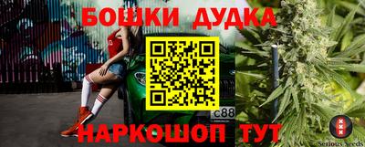 гашик Аргун