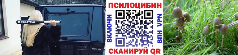 Псилоцибиновые грибы Cubensis  Пушкино 