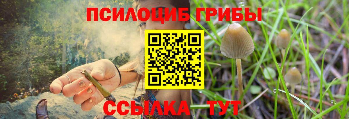 Галлюциногенные грибы Psilocybine cubensis  Вход с VPN  Галлюциногенные грибы ЛСД  Пушкино 