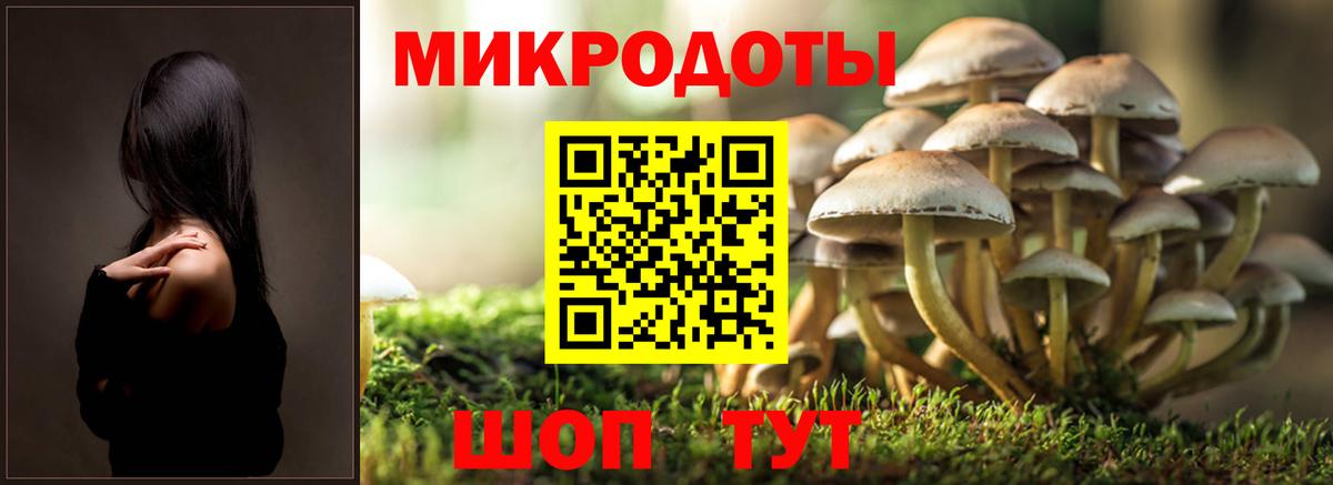 Псилоцибиновые грибы Cubensis Пушкино